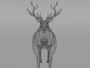 moose 3D मॉडल