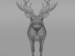 moose 3D मॉडल