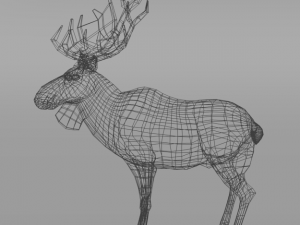 moose 3D मॉडल