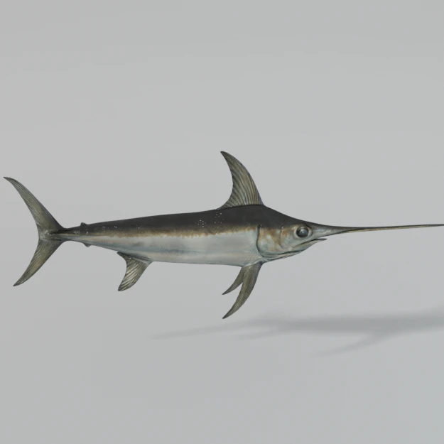 swordfish 3D Model .c4d .max .obj .3ds .fbx .stl .blend 