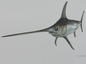 swordfish 3D Model