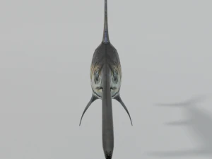 swordfish 3D Model