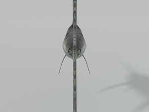 swordfish 3D Model