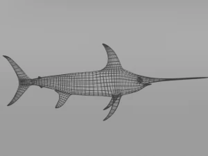 swordfish 3D Model
