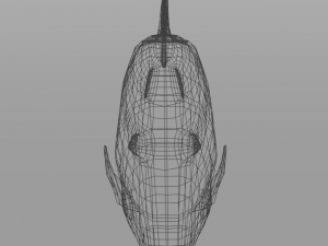bocachico 3D Model