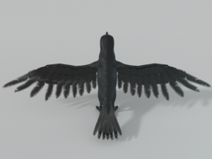 crow bird 3D Model