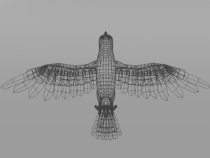crow bird Modèle 3D