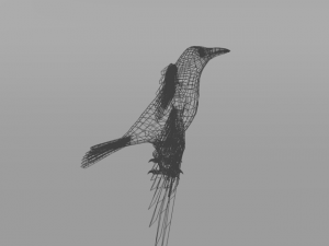 crow bird Modèle 3D