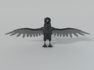 crow bird Modèle 3D