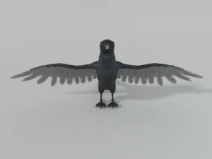 crow bird 3D Model