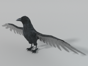 crow bird Modèle 3D