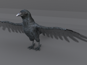 crow bird Modèle 3D