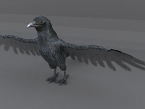 crow bird 3D Model
