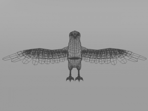 crow bird Modèle 3D