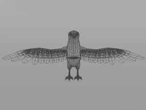 crow bird 3D Model