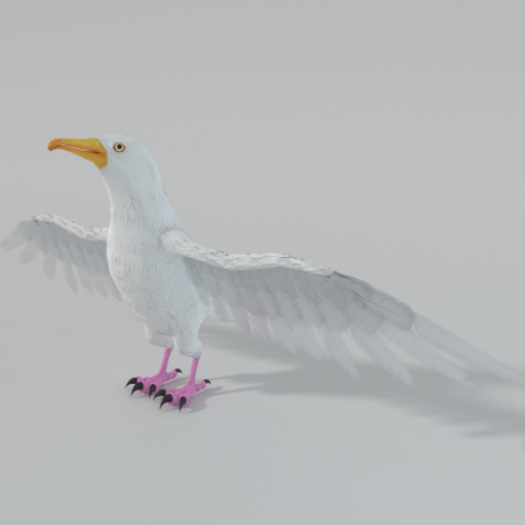 seagull Modèle 3D .c4d .max .obj .3ds .fbx .stl .blend 