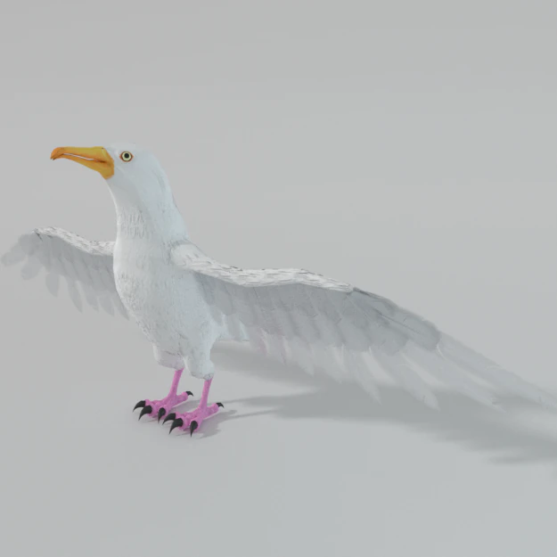seagull 3D Model .c4d .max .obj .3ds .fbx .stl .blend 