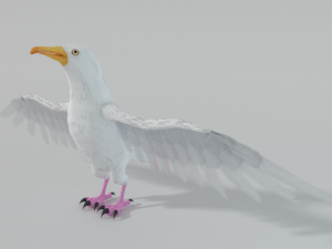 seagull 3Dモデル
