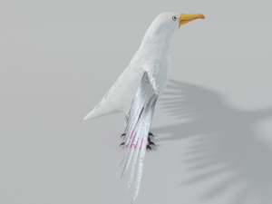 seagull Modèle 3D