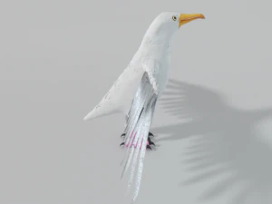 seagull 3D Model