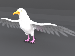 seagull Modèle 3D