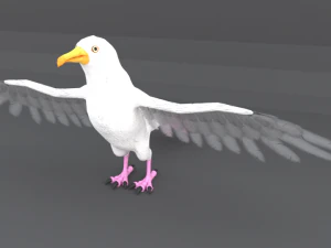 seagull 3D Model