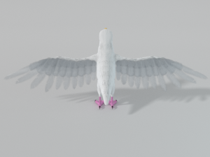 seagull Modèle 3D