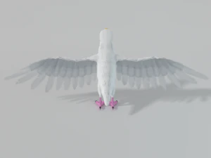 seagull 3D Model
