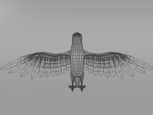 seagull Modèle 3D