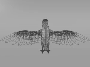 seagull 3D Model