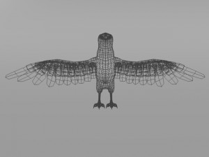 seagull Modèle 3D