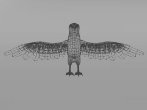 seagull 3D Model