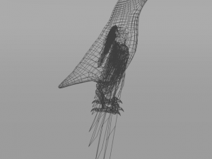 seagull Modèle 3D