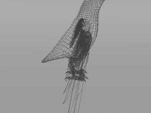 seagull 3D Model