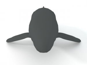 whale 3D 모델