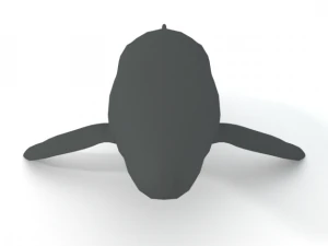 whale 3D Model