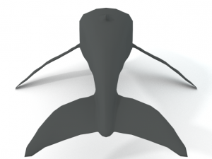 whale 3D 모델
