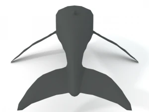whale 3D Model