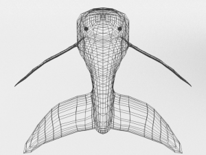whale 3D 모델