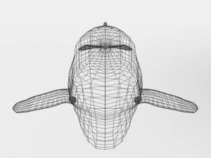 whale 3D Model