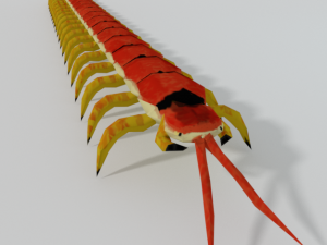 scolopendra Modèle 3D