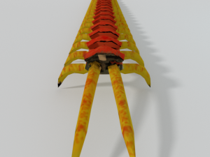 scolopendra Modèle 3D