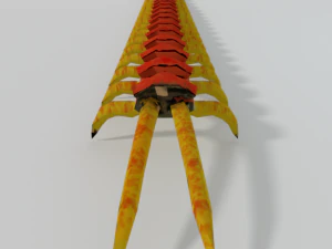 scolopendra 3D Model