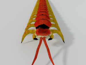 scolopendra Modèle 3D