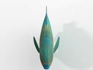 rainbow parrotfish 3D Model