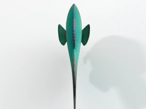 rainbow parrotfish 3D Model