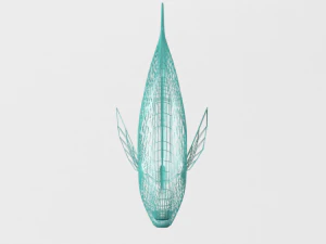 rainbow parrotfish 3D Model