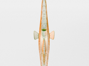 disco fish 3D Model