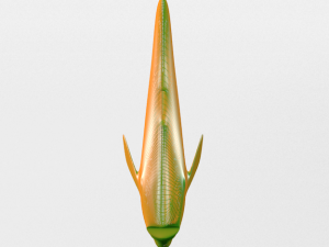 disco fish 3D Model