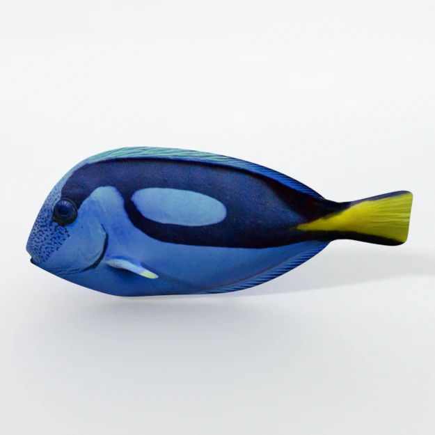 surgeonfish 3D Model .c4d .max .obj .3ds .fbx .stl .blend 